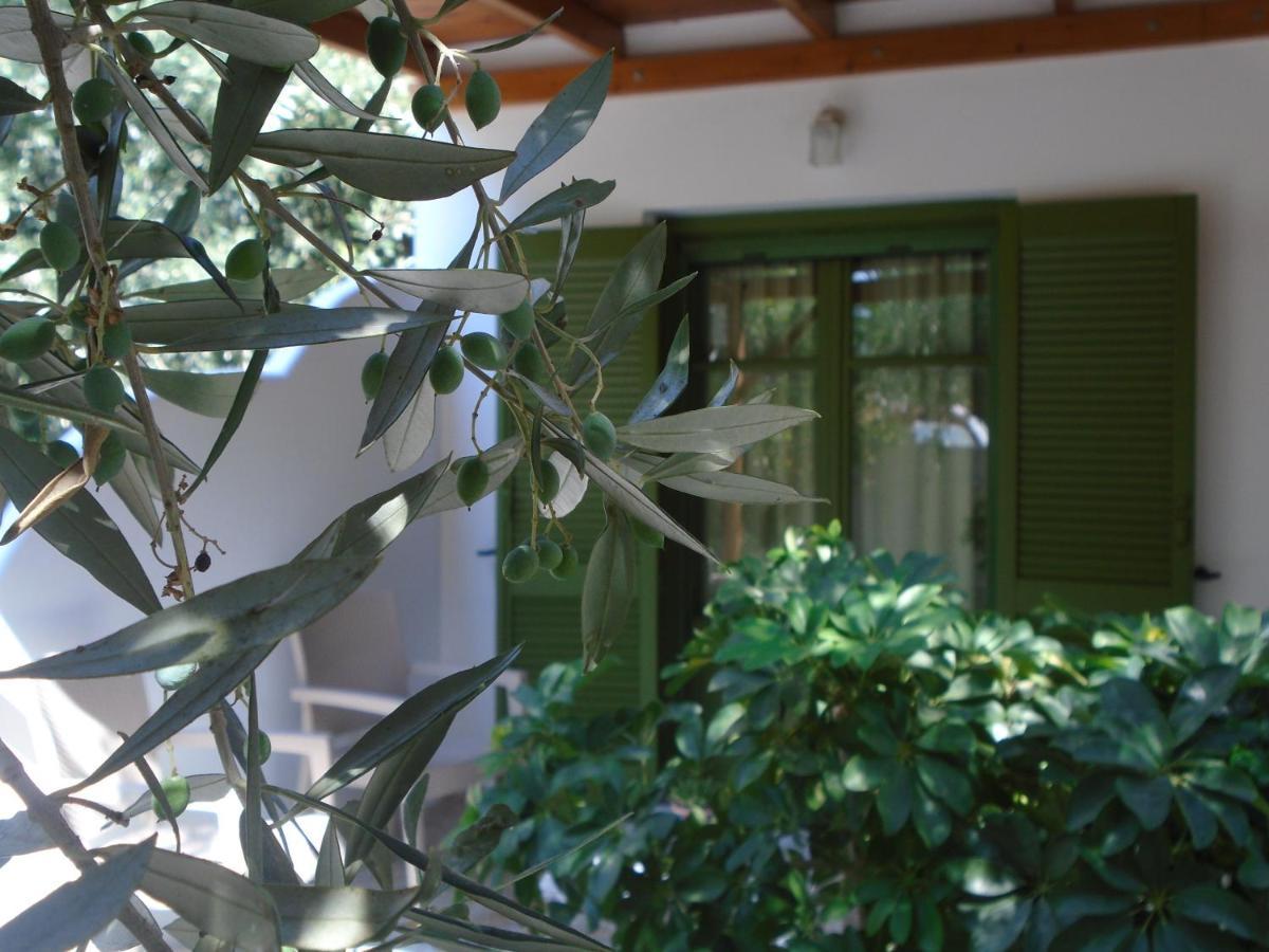 Leros Eleonas Apartments Алінда Екстер'єр фото