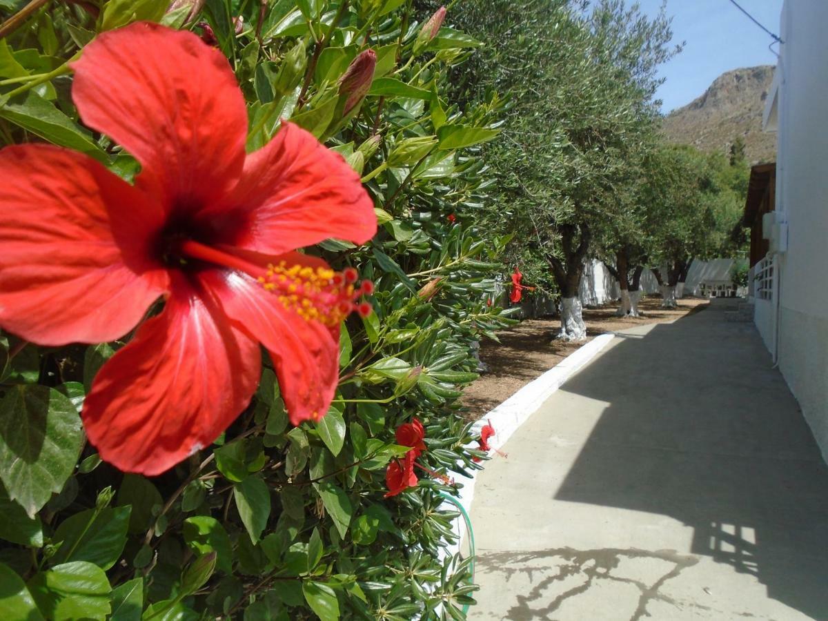 Leros Eleonas Apartments Алінда Екстер'єр фото